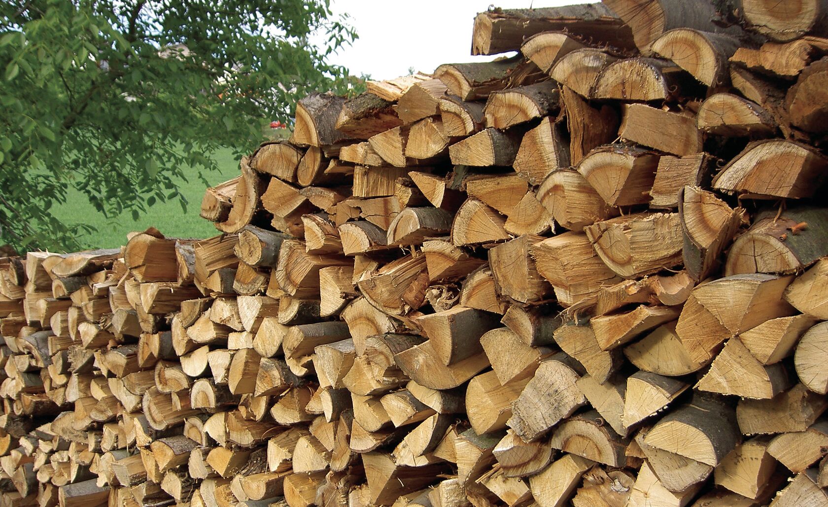 holz2big holz2big