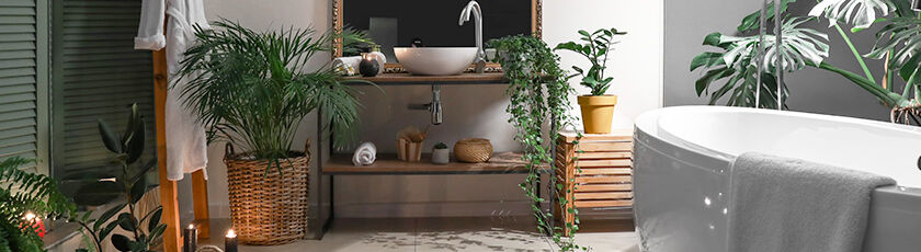 Pflanzen fürs Badezimmer Natur in Bad & Dusche Inhaus Handels GmbH