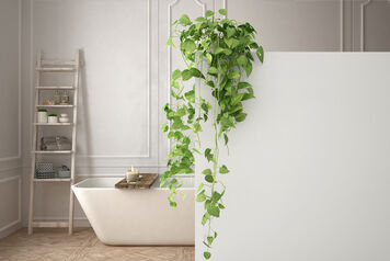 AdobeStock_215968153 AdobeStock_215968153