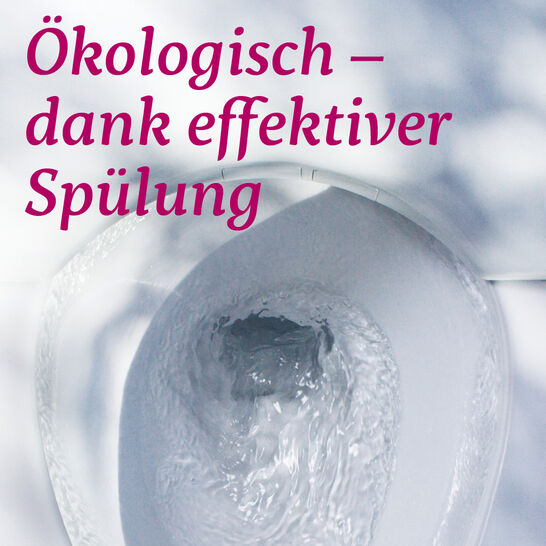 1_carousel_1 1_carousel_1