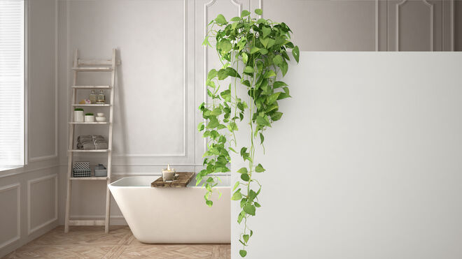AdobeStock_215968153 AdobeStock_215968153