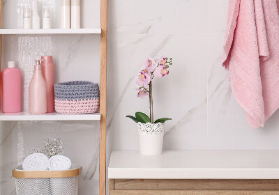 Inhaus_Pflanzen_im_Bad_Orchidee_Blog_840x590 Inhaus_Pflanzen_im_Bad_Orchidee_Blog_840x590